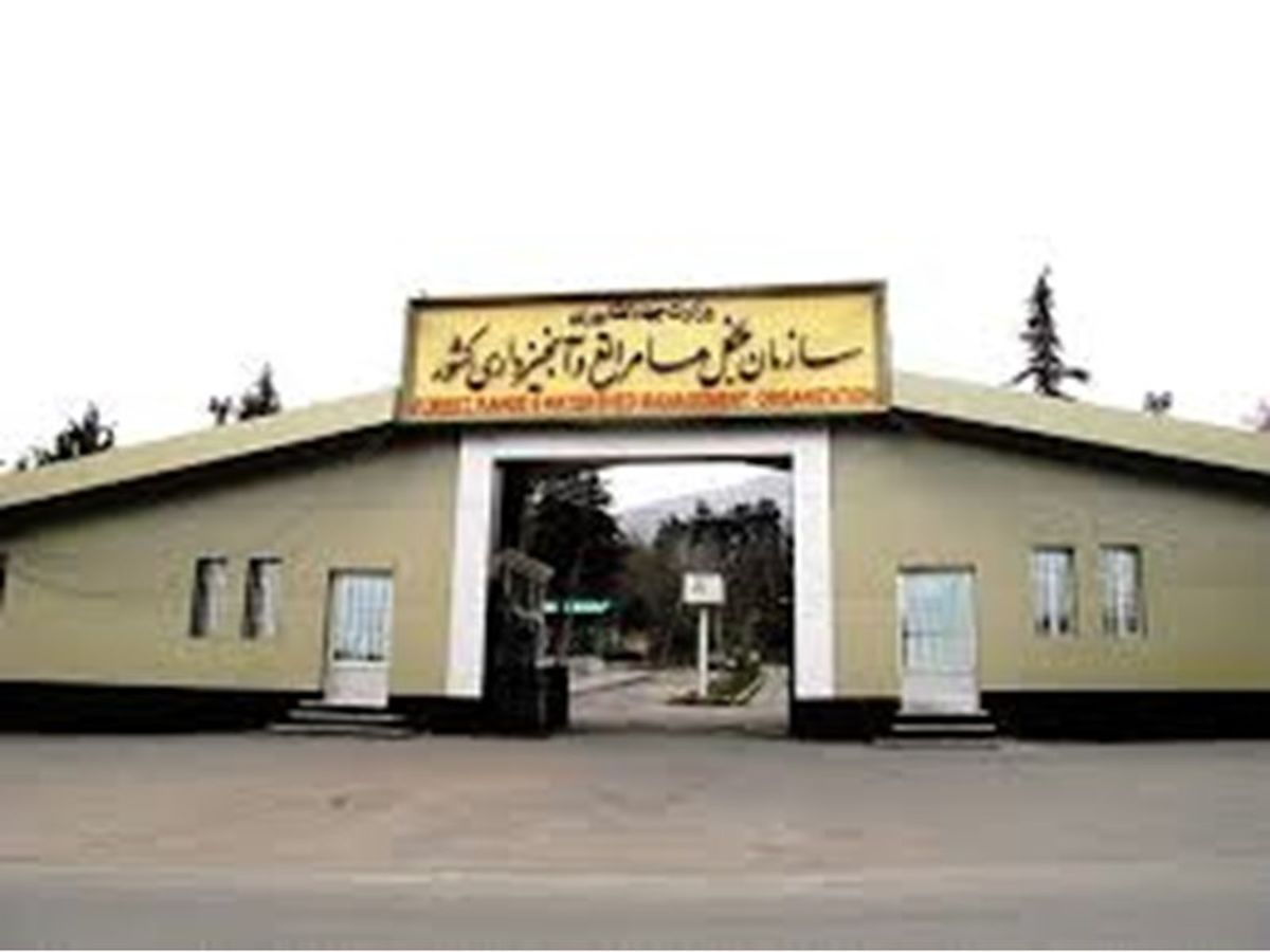 سازمان جنگلها بدنبال افزایش ۵۰ درصدی حقوق کارکنان