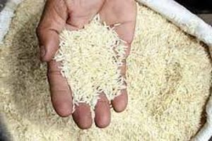 کشف انبار بسته بندی برنج هندی ‌به جای ایرانی ‌