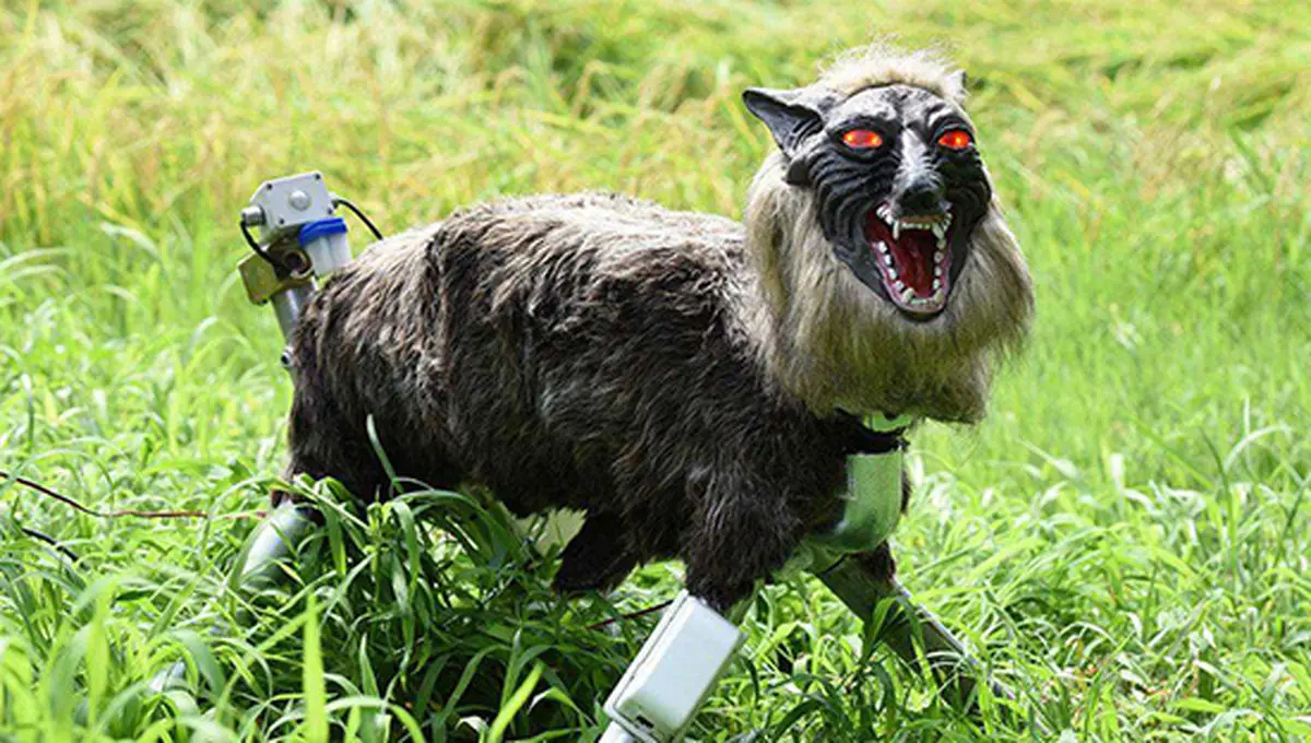 خلاقیت ژاپنی‌ها برای محافظت از زمین‌های کشاورزی