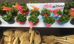 پیشنهاد جالب برای سبزه هفت‌سین