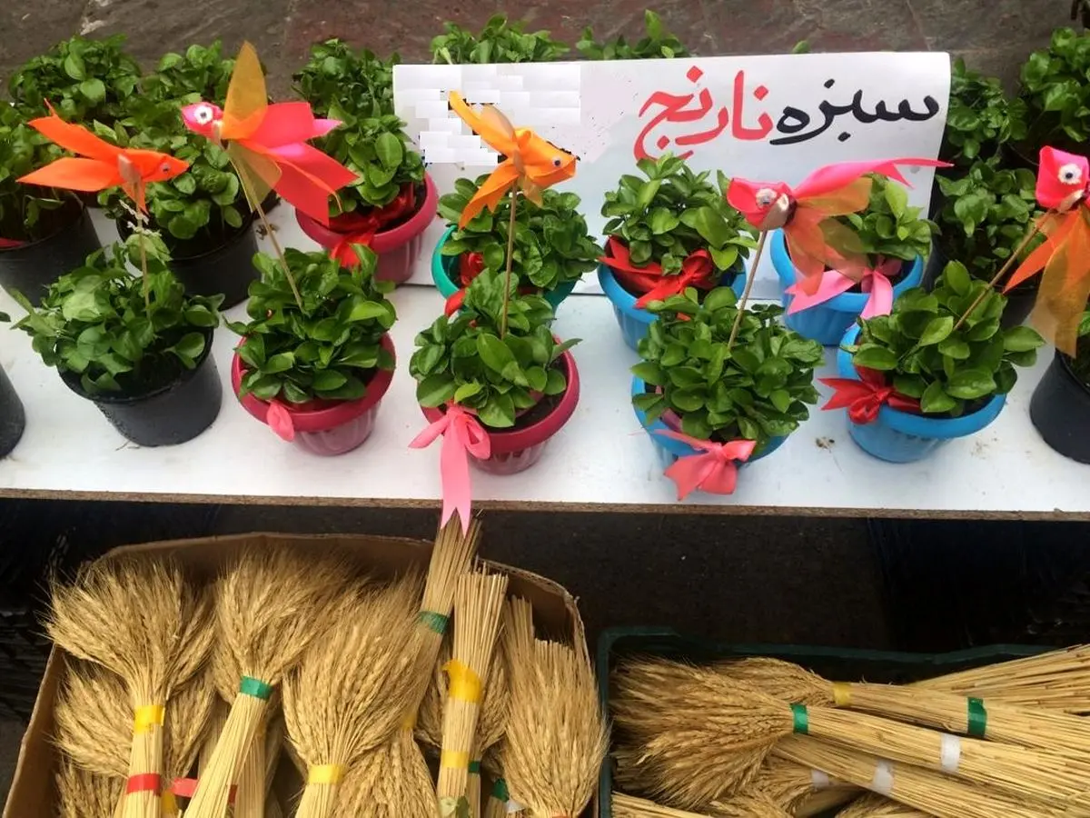 پیشنهاد جالب برای سبزه هفت‌سین