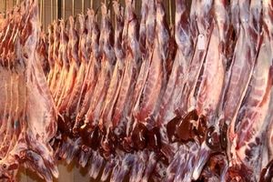 کشف 5 تن گوشت قاچاق در مشهد