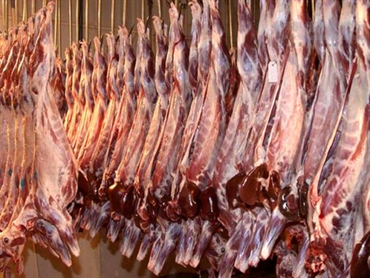 کشف 5 تن گوشت قاچاق در مشهد