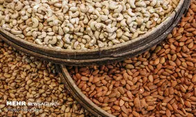 دستگیری محتکر میلیاردی آجیل شب عید در ساری