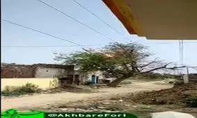 لحظه برق گرفتگی درخت!