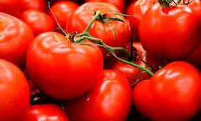 با این مواد غذایی از شر چربی های شکم خلاص شوید