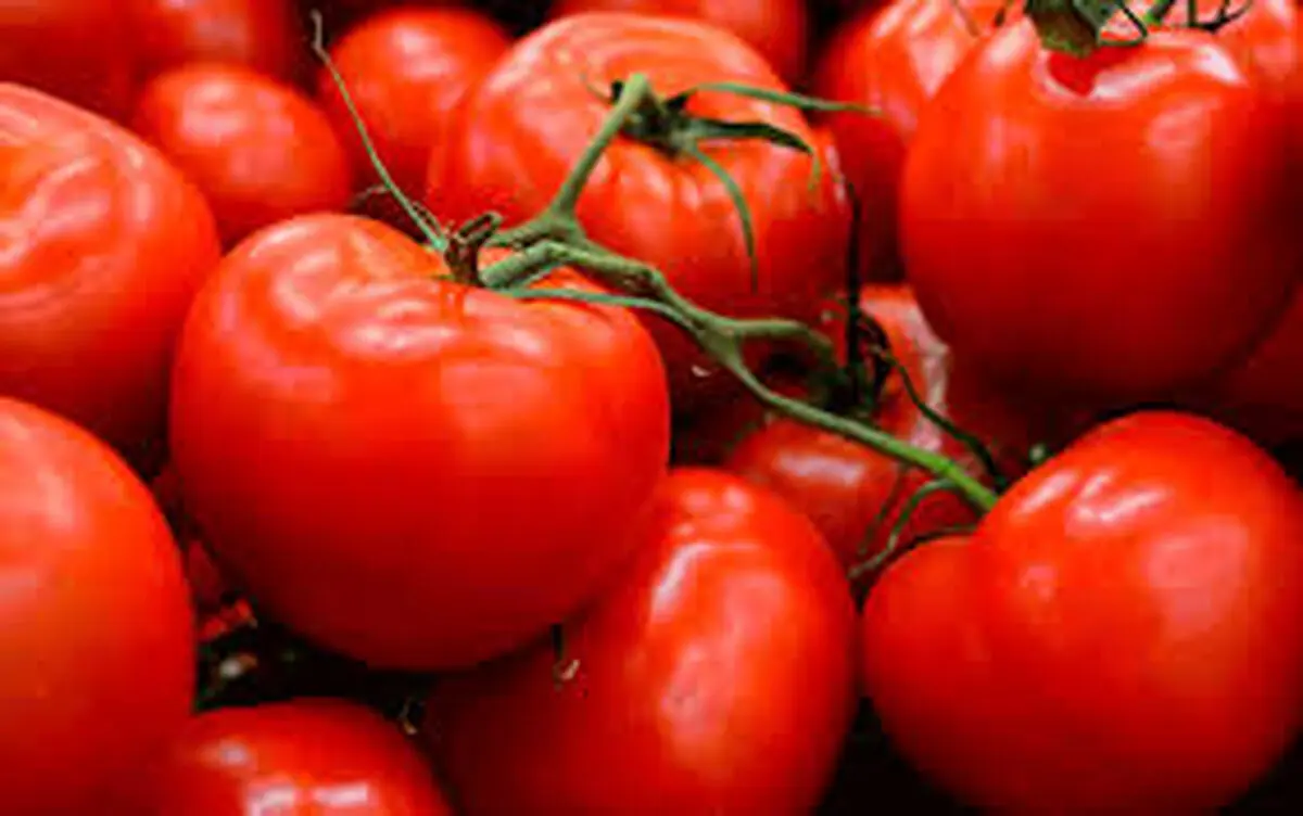 با این مواد غذایی از شر چربی های شکم خلاص شوید