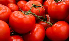 با این مواد غذایی از شر چربی های شکم خلاص شوید