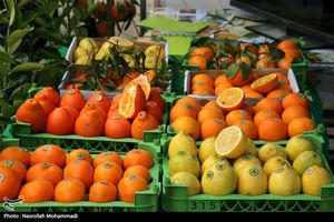 ۵ هزار تن میوه شب عید در استان اصفهان توزیع می‌شود‌