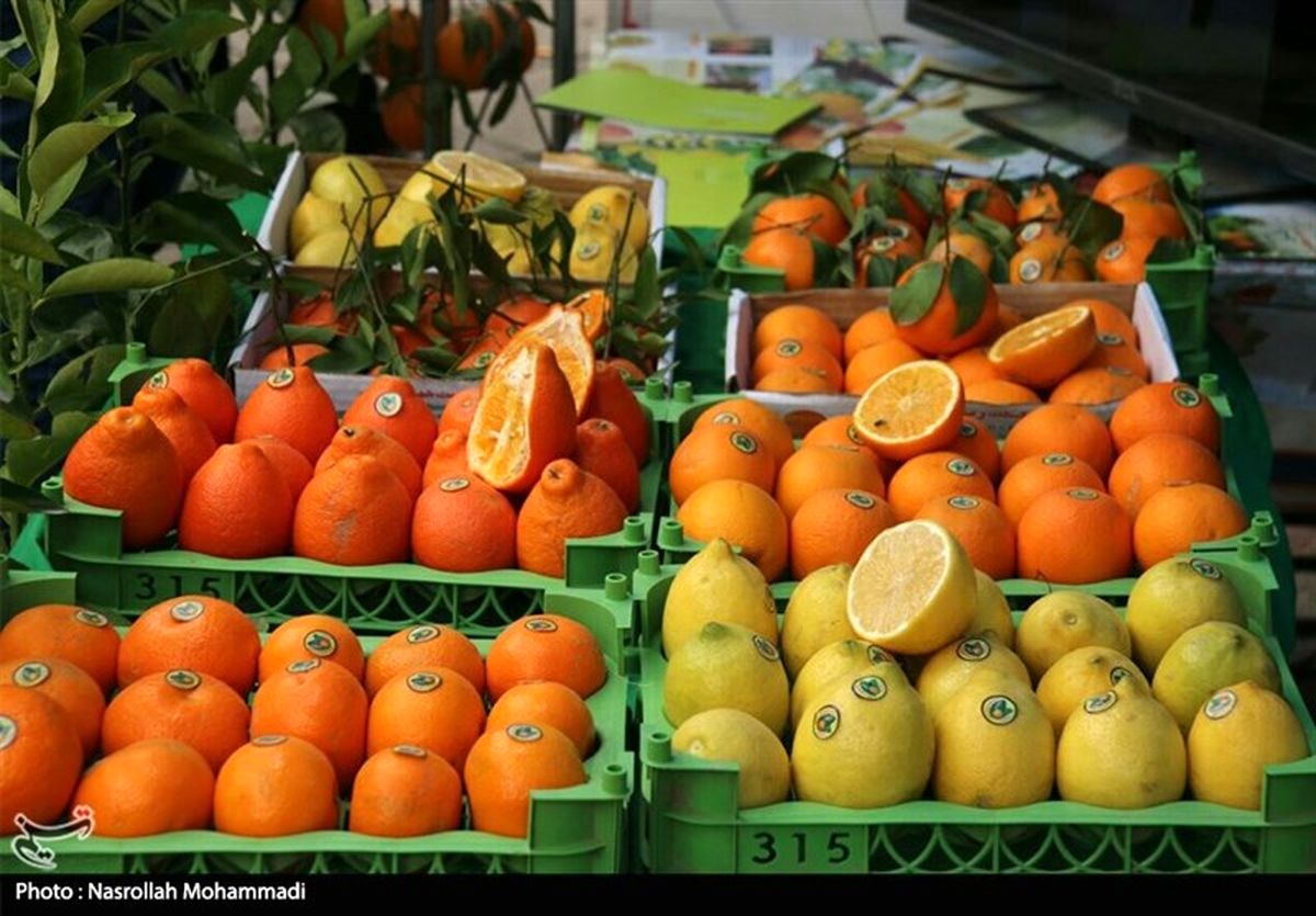 ۵ هزار تن میوه شب عید در استان اصفهان توزیع میشود