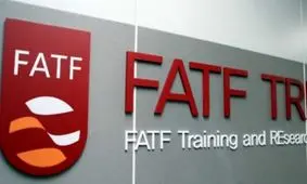 مجمع تشخیص مصلحت نظام صلاحیت رسیدگی به FATF  را ندارد/ مرجع رسیدگی باید بخش خصوصی باشد/برخی برای کشیدن گوش دولت چوب لای چرخ ملت می گذارند