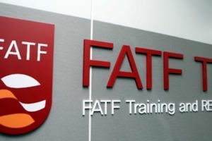 مجمع تشخیص مصلحت نظام صلاحیت رسیدگی به FATF  را ندارد/ مرجع رسیدگی باید بخش خصوصی باشد/برخی برای کشیدن گوش دولت چوب لای چرخ ملت می گذارند