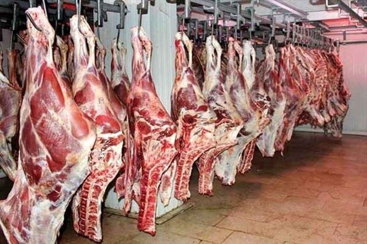 استاندار هرمزگان دستور توزیع گوشت وارداتی را صادر کرد