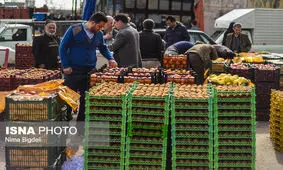 عرضه میوه شب عید استان زنجان در ۸۶ غرفه