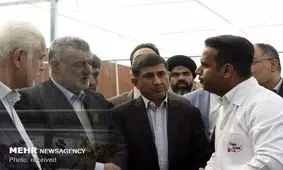 ۹۰ درصد بازار گل ارکیده صادراتی است