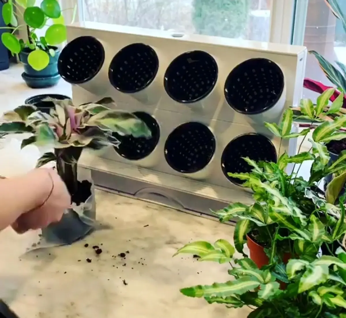 خلاقیت در درست کردن گلدان