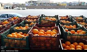 قیمت میوه شب عید در سمنان اعلام شد