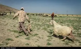 زمان کوچ عشایر کهگیلویه و بویراحمد مشخص شد