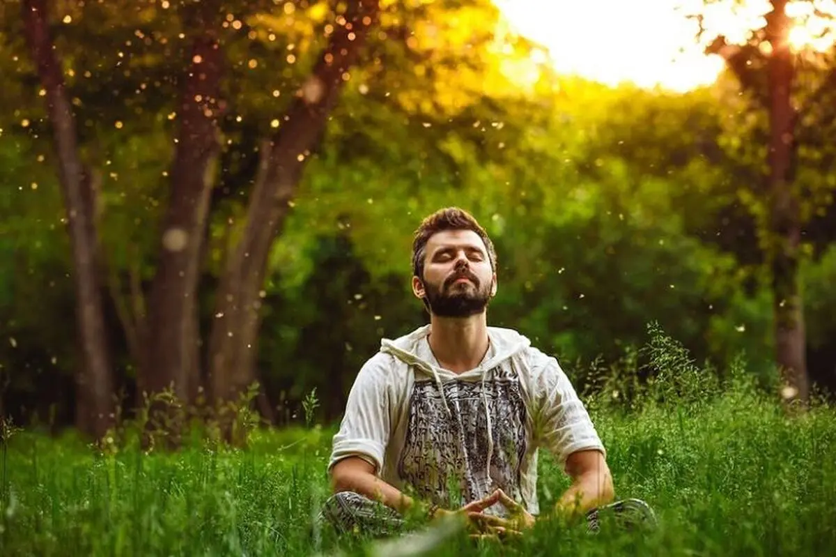 تاثیرات مثبت نورخورشید بر افزایش قدرت حافظه