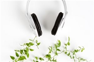 سرعت رشد گیاهان با گوش دادن به موسیقی افزایش می‌یابد