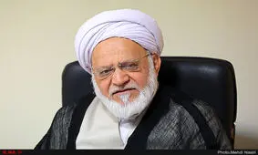 متاسفم که سرنوشت FATF به مساله توده مردم تبدیل شده است/ کاری کرده‌اند که به مجموعه مهمی مثل مجمع هم اعتماد نمی‌شود/ تعبیرم از اینستکس این است که «کوه موش زاییده‌»