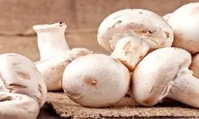 ترفندهای طلایی جهت شستشوی قارچ برای ماندگاری بیشتر