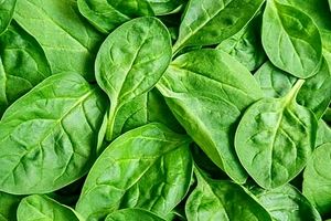 طرز تهیه غذا با اسفناج به چهار روش پرطرفدار
