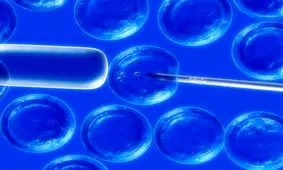 نخستین سمپوزیوم سلول‌های بنیادی برگزار شد