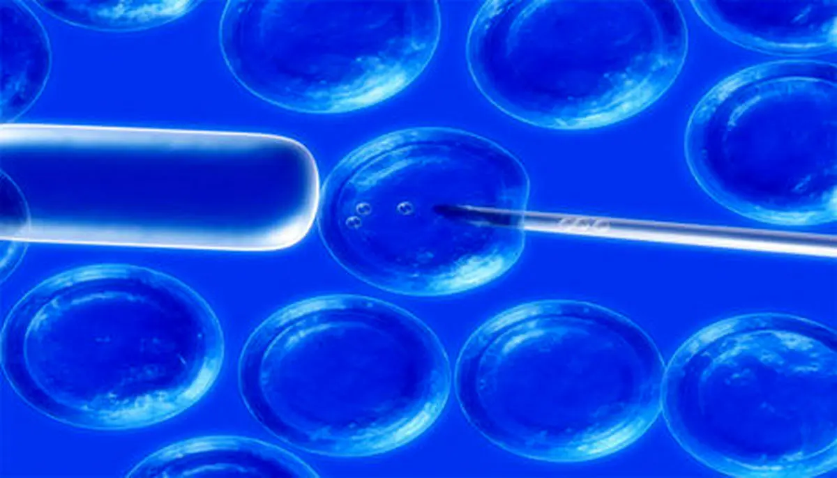 نخستین سمپوزیوم سلول‌های بنیادی برگزار شد