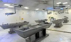 به دنبال گرفتن فتوا برای پژوهش روی جسد هستیم