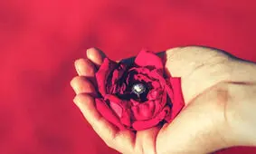 پرده بکارت ارتجاعی