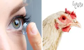 واقعیات جالبی که دوست دارید با دیگران به اشتراک بگذارید