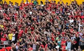 شعار هواداران علیه یکدیگر/ سردار جنگل پُر نشد!