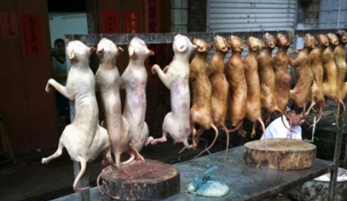 سوسیسوکالباس با گوشت خوک!!!