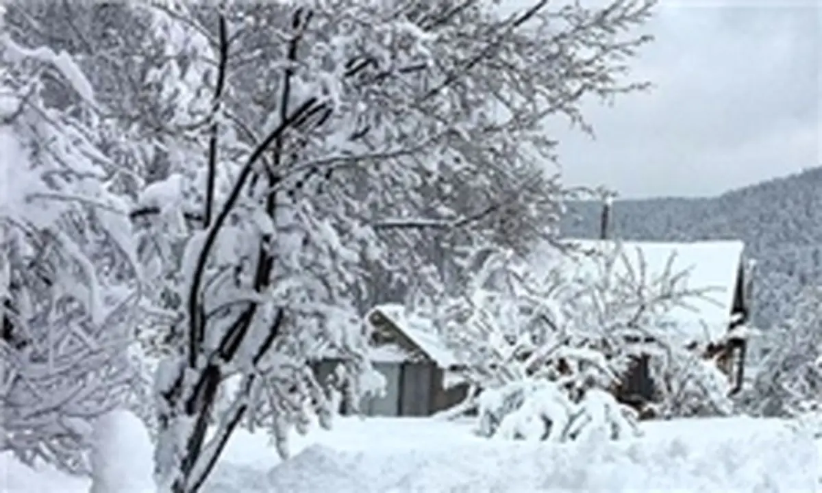 سردترین نقطه جهان +تصاویر