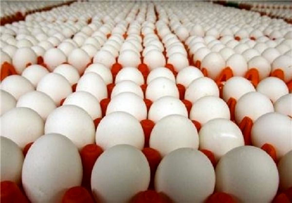 قیمت تخم‌مرغ به زیر ۵ هزارتومان کاهش می‌یابد!
