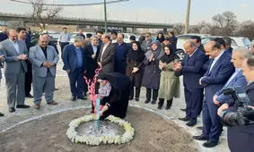 بانوان جنوب شهر قزوین صاحب بوستان می‌شوند