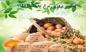 یک چهارم مرغداری‌ها سال ۹۷ تعطیل بوده‌اند