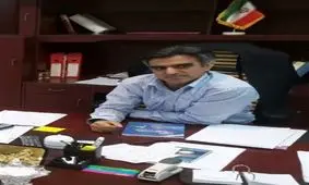 انجام فرایند ترخیص ۴۷ هزار گوسفند اروپایی با وجود کمبود کامیون