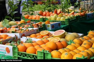 افزایش ۳۳ درصدی عرضه میوه در ۱۵۰۰ مرکز فروش برای تنظیم بازار شب عید