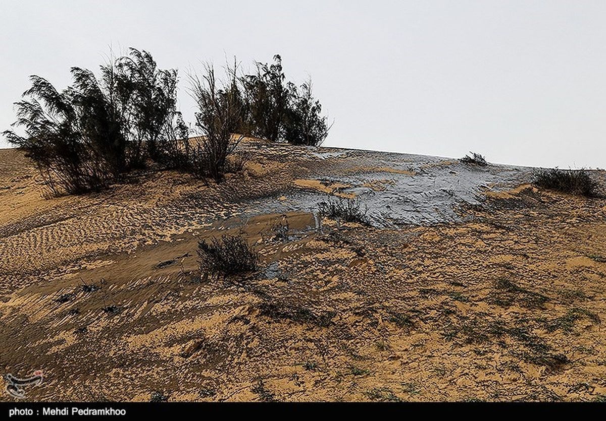 ۳۶۰ هزار هکتار کانون ‌گرد و غبار در خوزستان شناسایی شد؛ مالچ‌پاشی ‌۵۰ هزار هکتار در سه محور‌