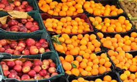 توزیع میوه شب عید در کهگیلویه و بویراحمد آزمون سخت درایت و کفایت مسؤولان