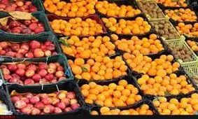 توزیع ۳۰۰۰ تن میوه شب عید آذربایجان غربی آغاز شد