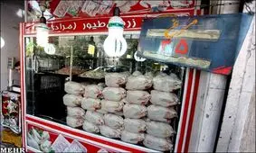 توزیع ۱۰۰ تن مرغ در جویبار