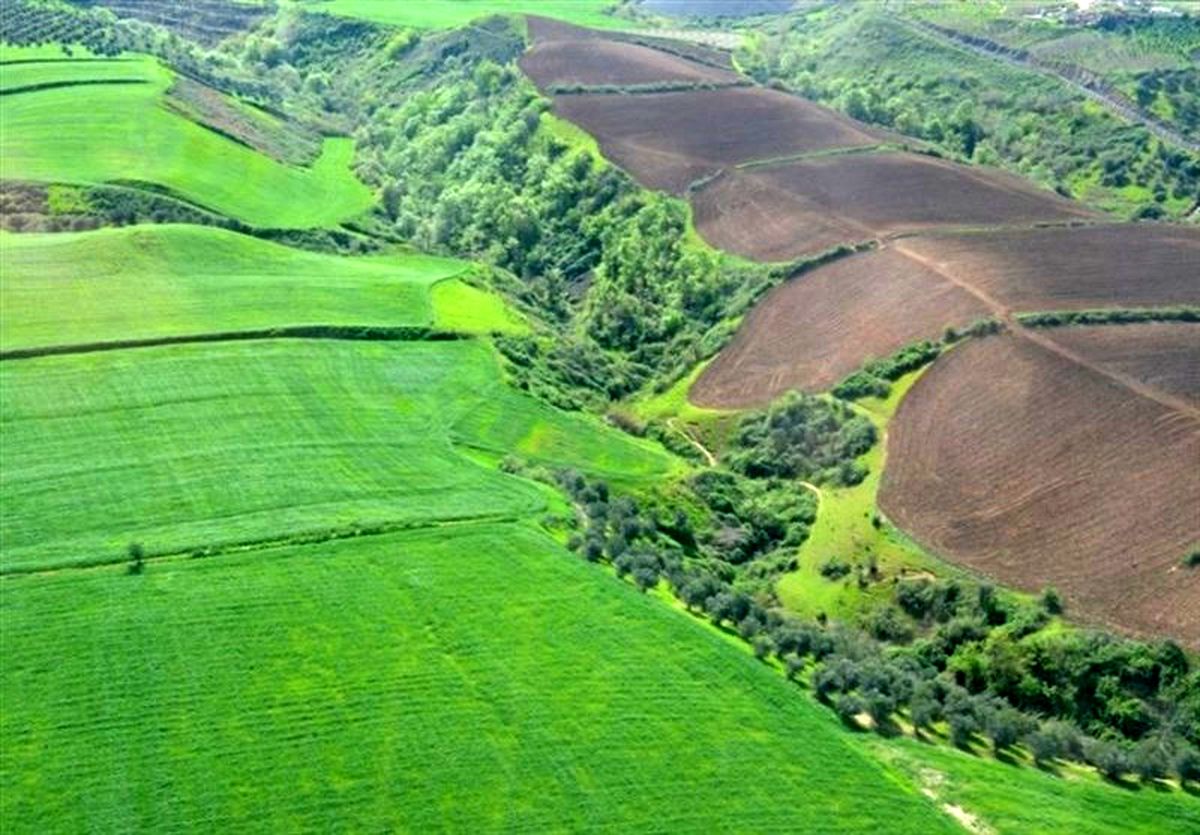 زمین‌خواری ۳.۷ میلیارد ریالی در مازندران کشف شد