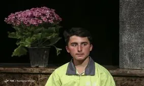 مراسم تقدیر از کارگران افغانستانی شهرداری تهران+عکس