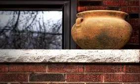 داستان کوتاه؛ گل صداقت و راستگویی