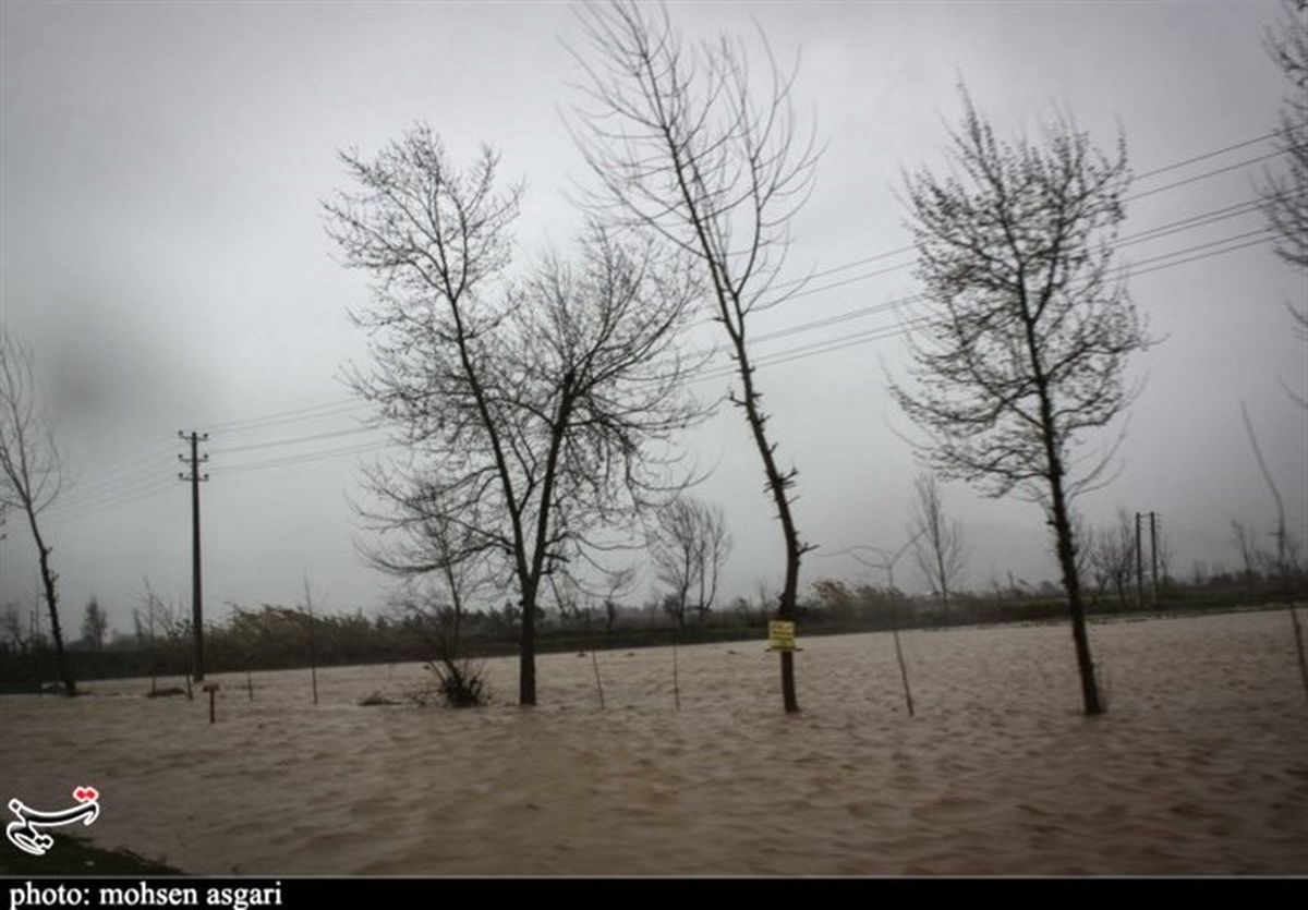 بارش ۱۰۰ میلی‌متری باران در گنبدکاووس؛ ۲۰ روستا خسارت دیدند