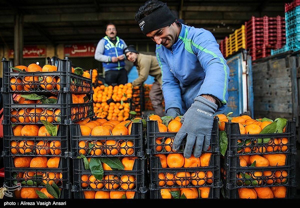 قیمت مصوب و نجومی ۲۴ قلم میوه شب عید اعلام شد+جدول