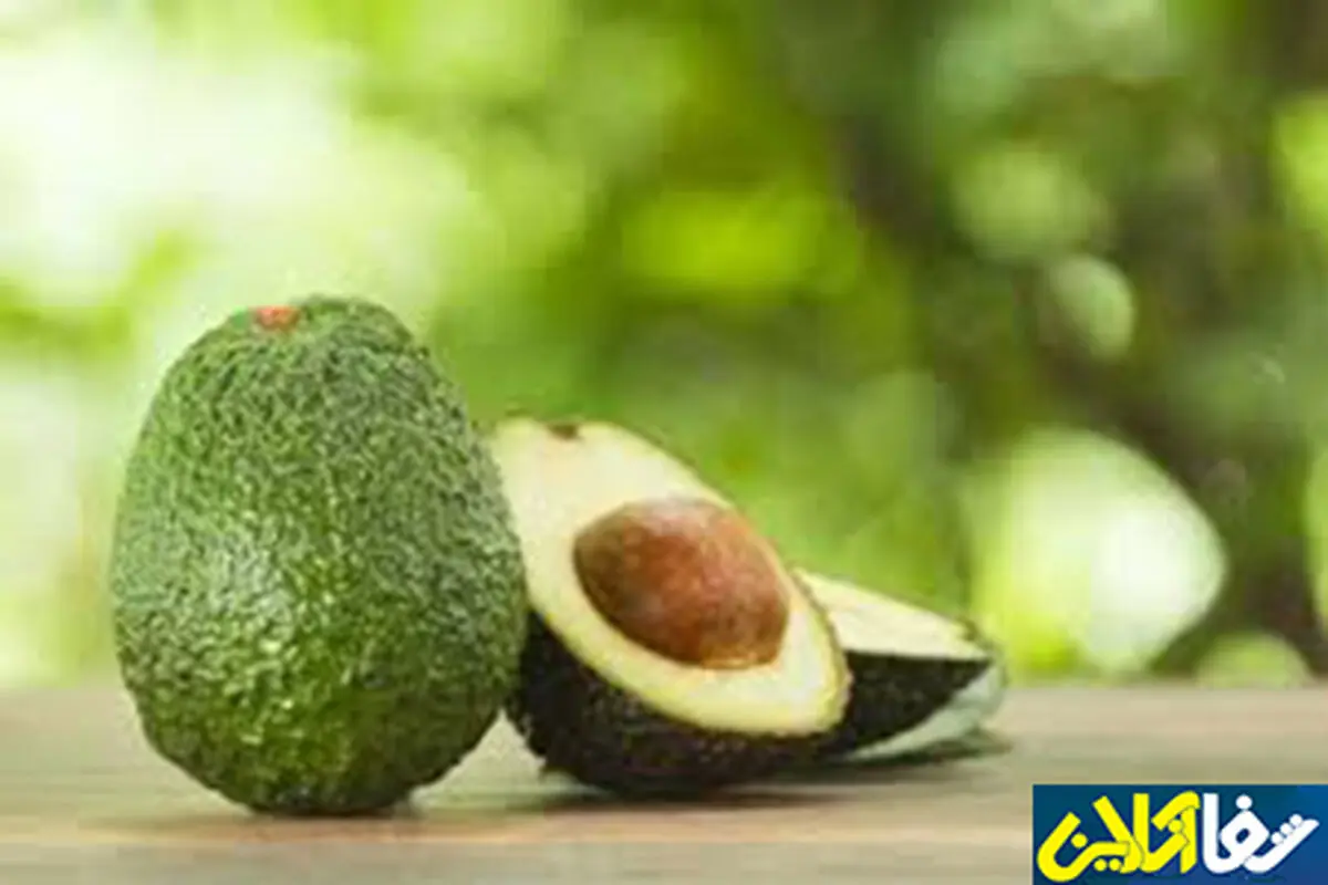 دانستنی‌های جالبی درباره میوه اسرارآمیز؛ تجمع چربی خوب در محصول مکزیکی
